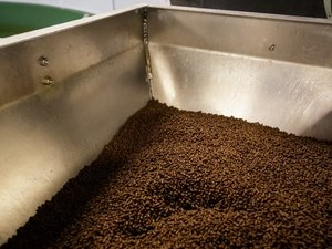 Low levels of unwanted substances in Norwegian fish feed