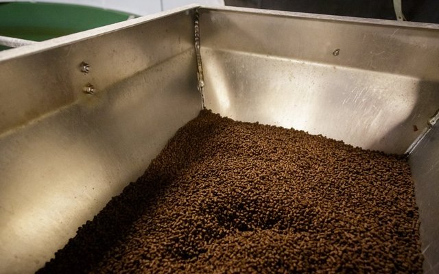 Low levels of unwanted substances in Norwegian fish feed