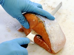 No illegal compounds found in Norwegian farmed salmon