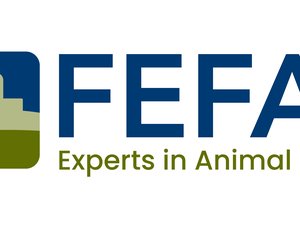 FEFAC unveils new website and logo