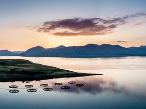 SAIC secures £10 million for sustainable growth of Scottish aquaculture