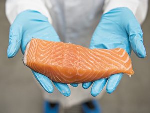 Are salmon as pink as they used to be?