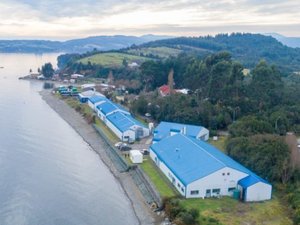 Salmofood acquires Chilean aquaculture research center