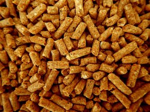 FDA proposes new rule for animal feed accreditation