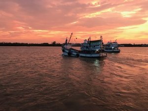 Gulf of Thailand Mixed Trawl Fishery Improvement Project fishery accepted into MarinTrust