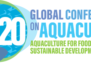 New dates for FAOs Global Aquaculture Conference