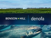 Partnership will introduce novel sustainable soy ingredients into EU salmon feed industry
