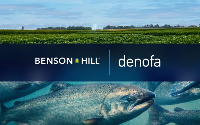 Partnership will introduce novel sustainable soy ingredients into EU salmon feed industry