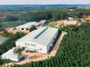 Entobel, AquaBIO5 Group partner to develop insect-derived products for early-stage aquafeeds