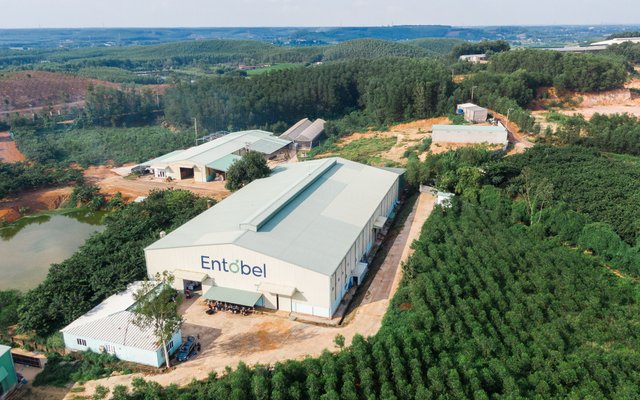 Entobel, AquaBIO5 Group partner to develop insect-derived products for early-stage aquafeeds