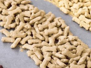 Register for short course on extruded pet foods and treats