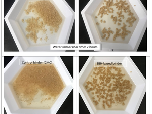 Are soybean hulls optimal binding agents in aquafeeds?