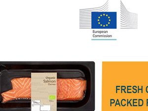 Organic salmon market increasing in the EU