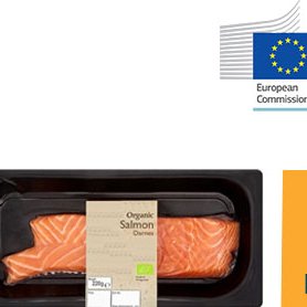 Organic salmon market increasing in the EU
