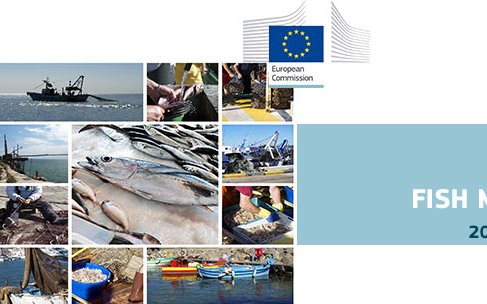EU trade balance deficit for aquaculture products