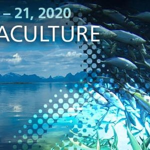Join the aquaculture sessions of Alltech ONE Virtual Experience