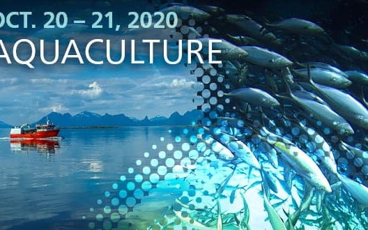 Join the aquaculture sessions of Alltech ONE Virtual Experience