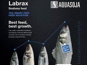 Aquasoja adds floating pellets to its seabass feed range