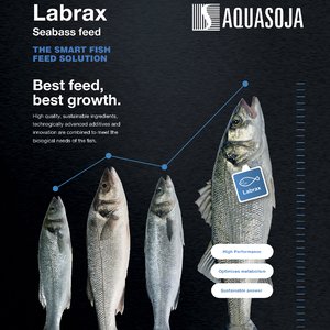 Aquasoja adds floating pellets to its seabass feed range