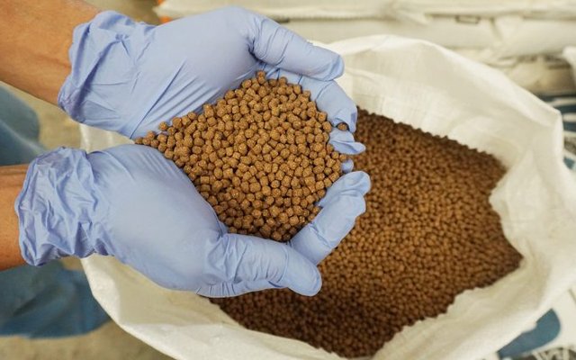 Low-cost aquafeed reduces operational costs in fish farms
