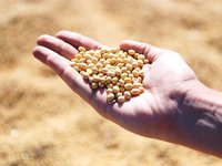 Cargill to build new soybean processing facility in Southeast Missouri, USA