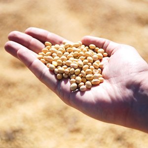Cargill to build new soybean processing facility in Southeast Missouri, USA