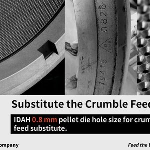Idah introduces die for small-size shrimp pellet feed