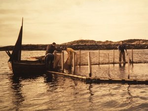 50 years of modern aquaculture