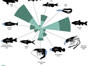 Prospects of protein sources in aquaculture diets