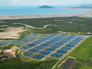 Aquaculture industry set to be a boon for Australia Norths economy