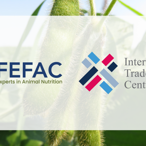 New schemes pass benchmarking process against FEFAC soy sourcing guidelines