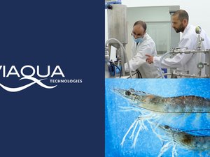 ViAqua Therapeutics raises $4.3 million for its oral, RNA-based shrimp health solution