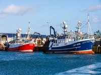 Fishmeal production increases and fish oil drops in 2021
