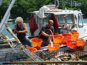 NOAA awards $3.1 million to small businesses to develop new aquaculture technologies