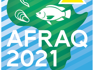 Egypt to host the first Aquaculture Africa Conference