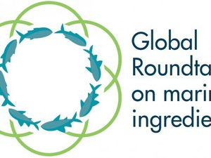 Sustainable Fisheries Partnership, IFFO unveil new Global Marine Ingredients Roundtable