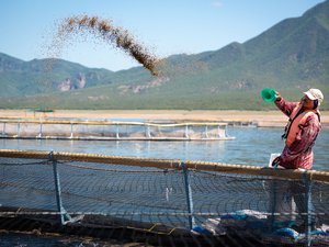 USSEC convenes Global Aquaculture Industry Advisory Council to dive into shaping a sustainable aquaculture industry