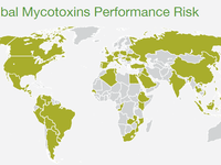 Cargill issues 2021 world mycotoxin report