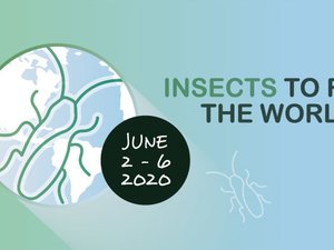 Insects to Feed the World conference postponed