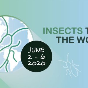 Insects to Feed the World conference postponed