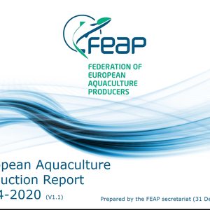 European fish production increases 2.8% in 2020, FEAP reports