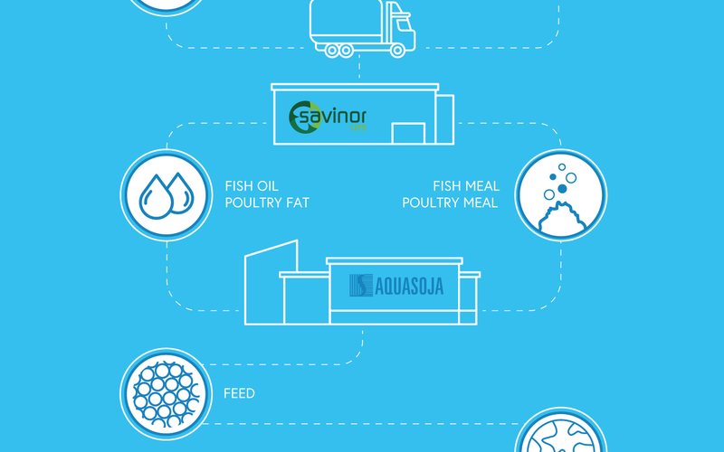 Sinergy between Aquasoja and Savinor provides high-quality fishmeal and fish oil for aquafeeds