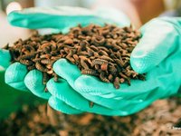 Insect School opens to drive innovation in the insect protein sector