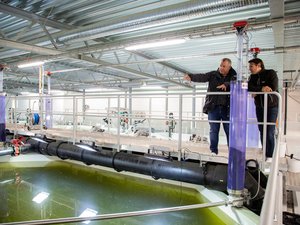 Alltech Coppens expanded aqua center to focus on RAS