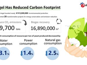Angel Yeast to ramp up efforts in sustainable development