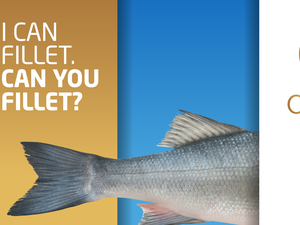 How far can we go with omega-3 fatty acids in fish fillets