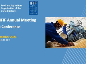 IFIF, FAO to strengthen collaboration to ensure safe and sustainable feed and food