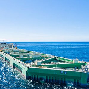 Will offshore aquaculture bring evolution or revolution to the seafood industry?