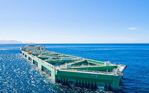 Will offshore aquaculture bring evolution or revolution to the seafood industry?