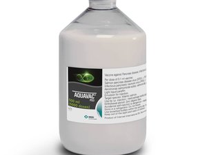 MSD Animal Health Launches Single-Injection Vaccine AQUAVAC® PD3 in UK and Ireland - Protects Against the Three Most Common Salmon Diseases